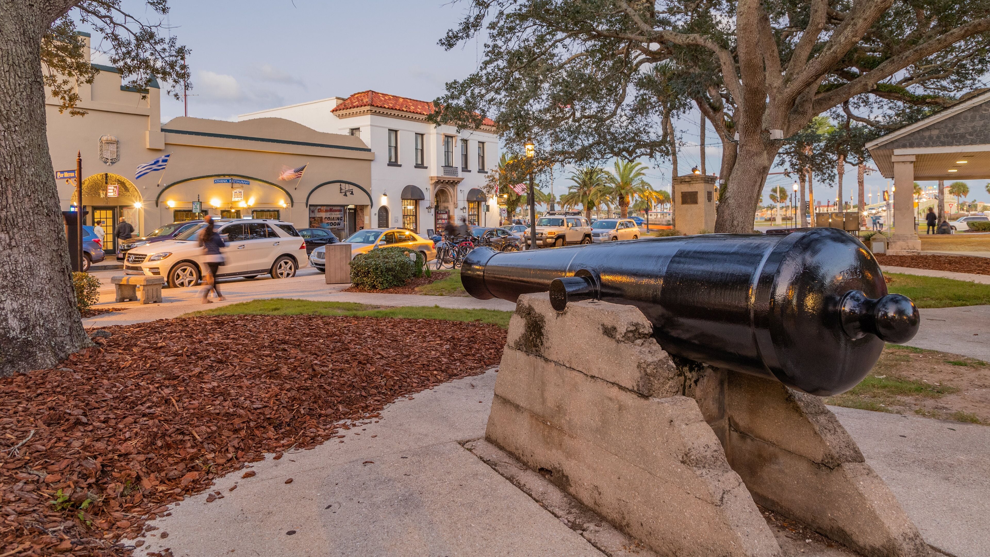 Plaza de la Constitution showing a garden and heritage elements