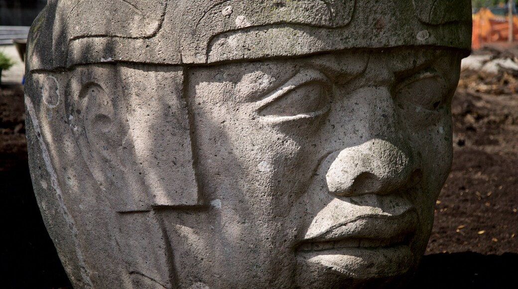 Olmec Head No 8
