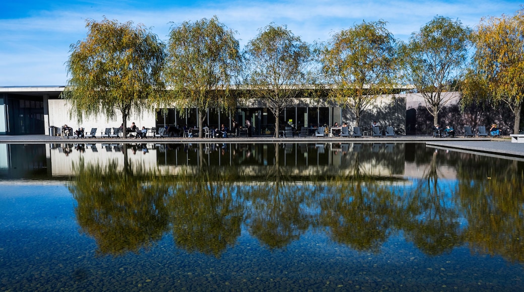 克拉克艺术学院