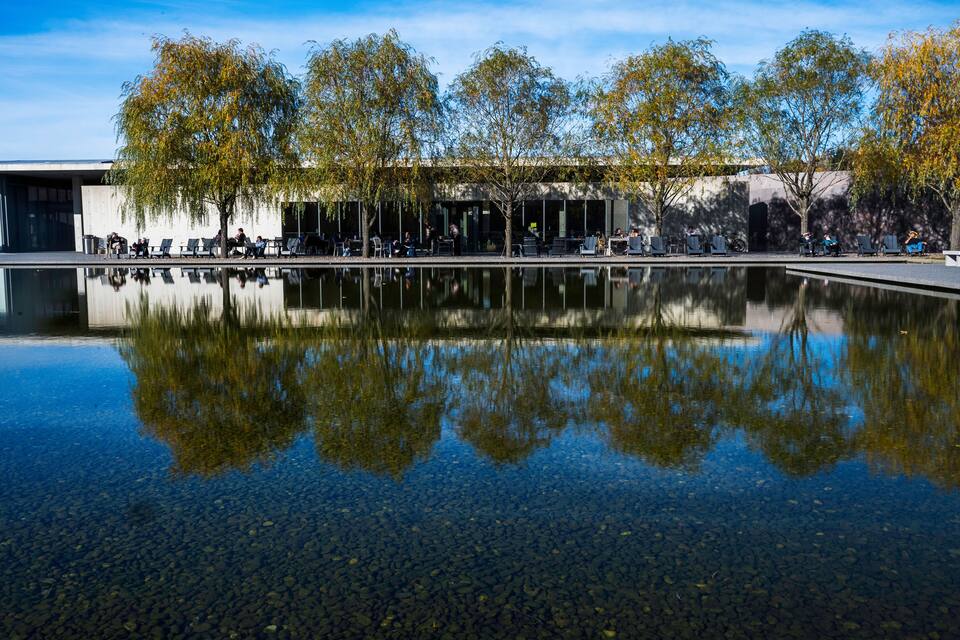 Un edificio moderno con terraza exterior, un elemento acuático reflectante y árboles con follaje otoñal.