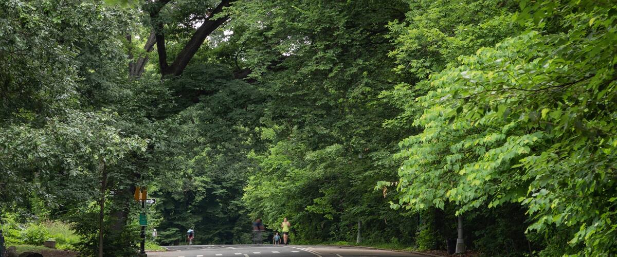 Prospect Park Bandshell featuring a garden