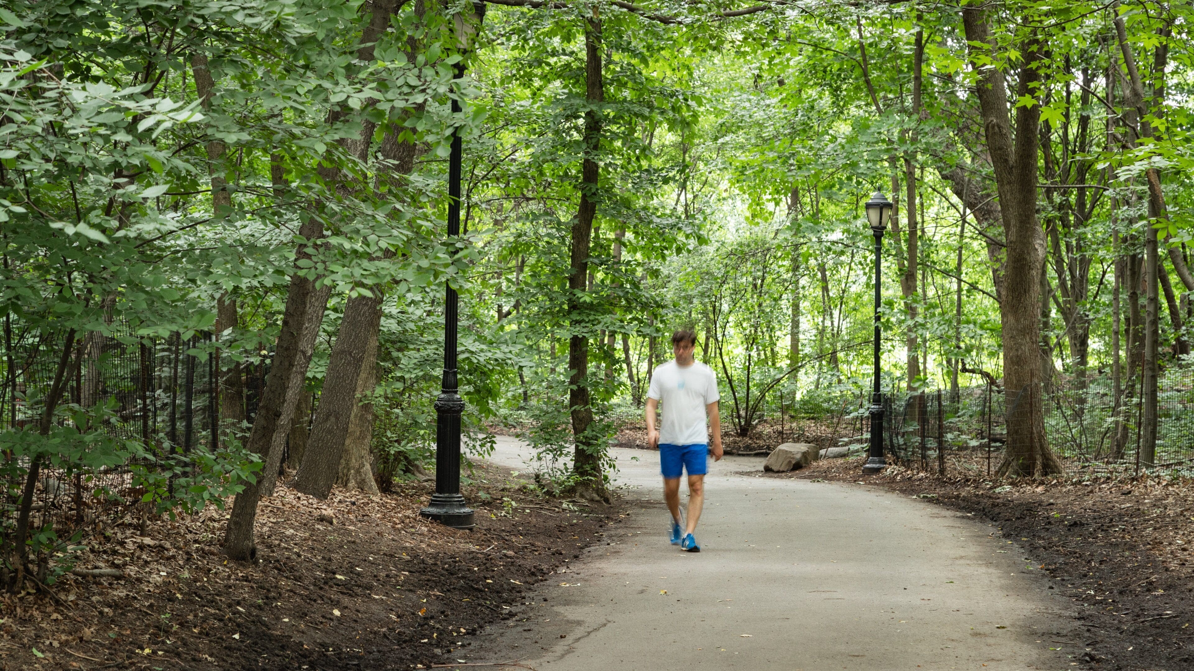 Prospect Park Bandshell featuring a garden as well as an individual male