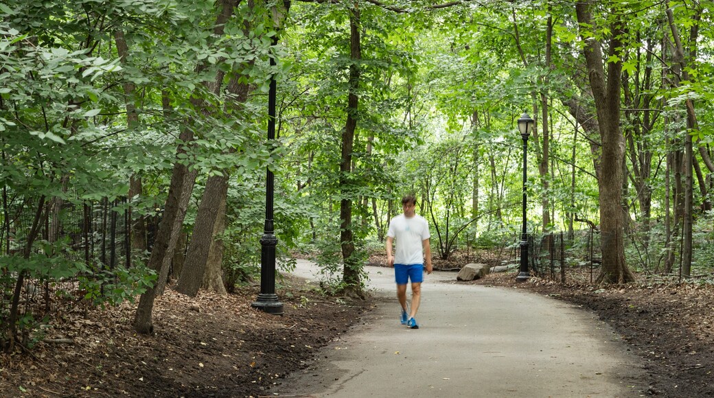 Prospect Park Bandshell featuring a garden as well as an individual male