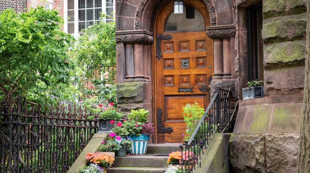 Montgomery Place which includes flowers