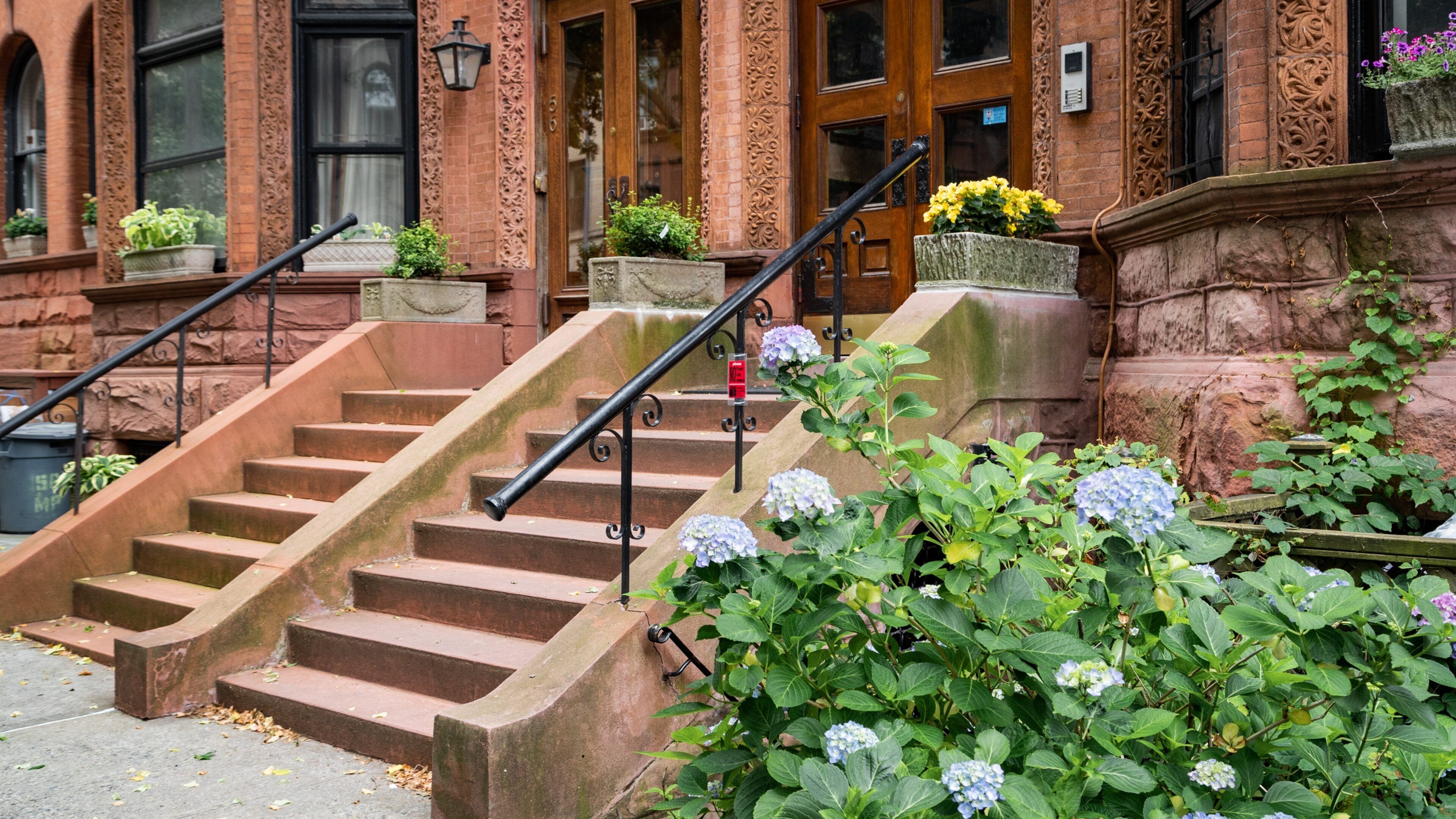 Montgomery Place showing wildflowers