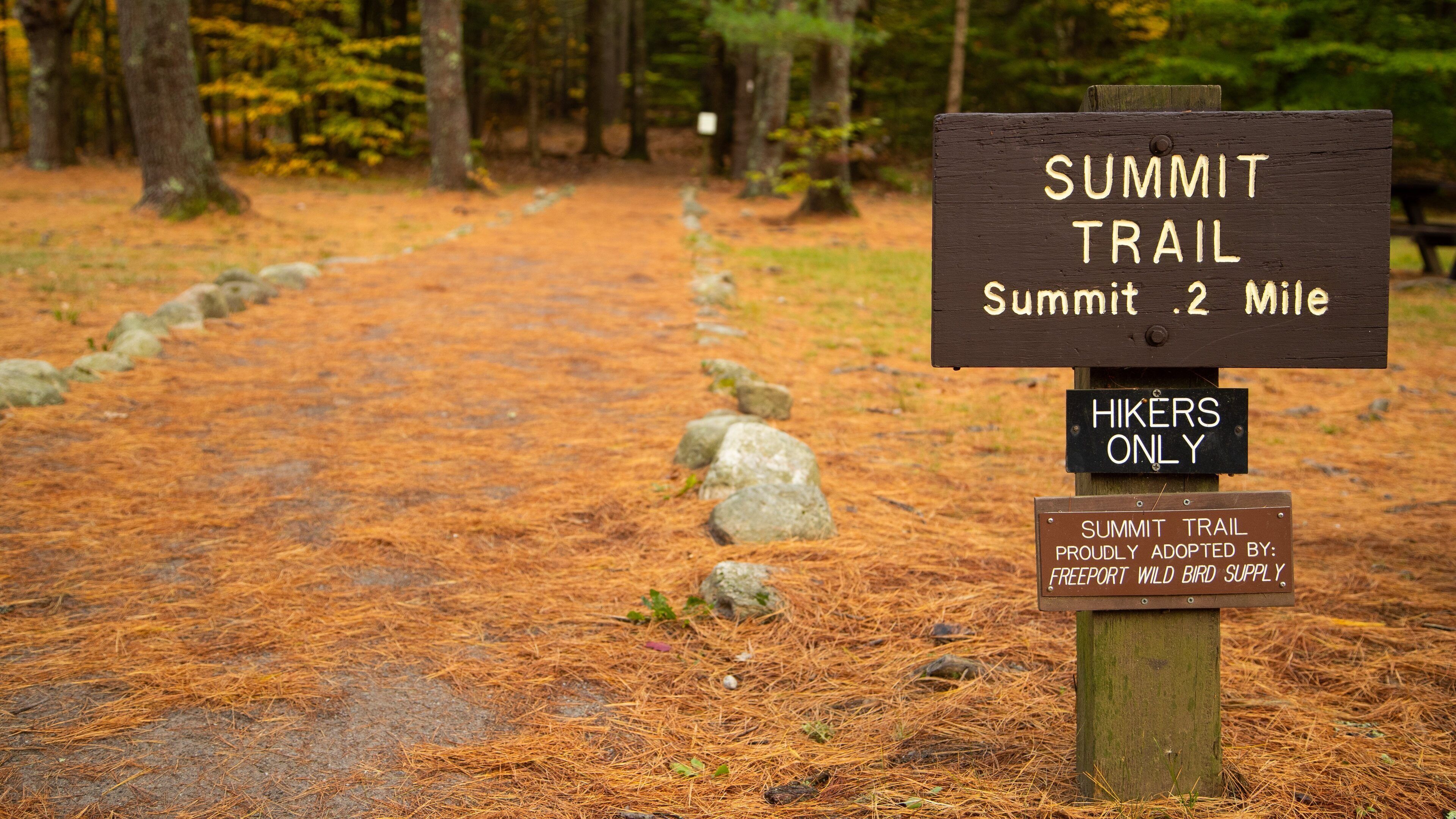 A wooden signpost indicating the Summit Trail is 2 miles away, designated for hikers only, and adopted by Freeport Wild Bird Supply.