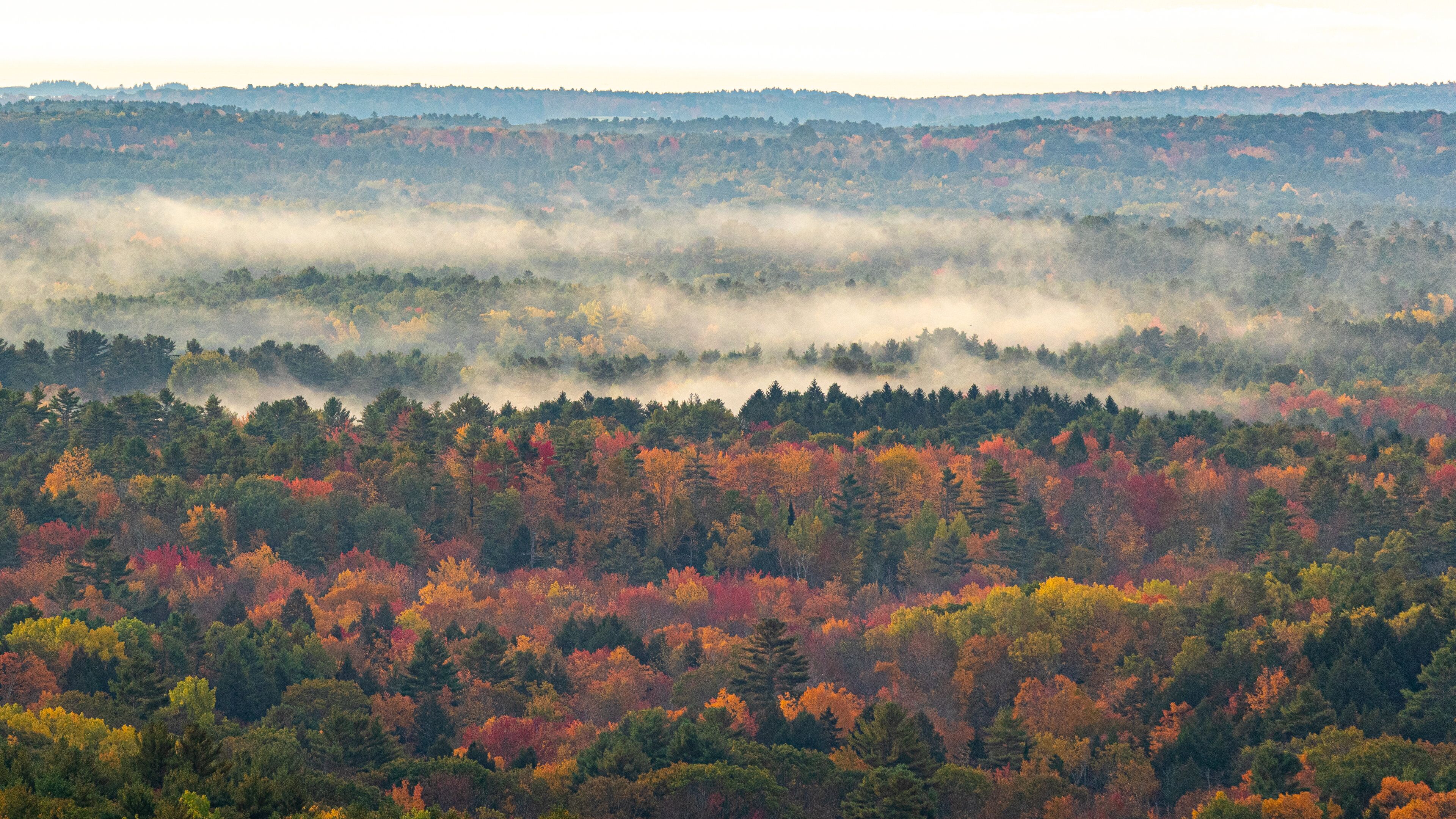 Bradbury Mountain State Park showing tranquil scenes, forest scenes and landscape views