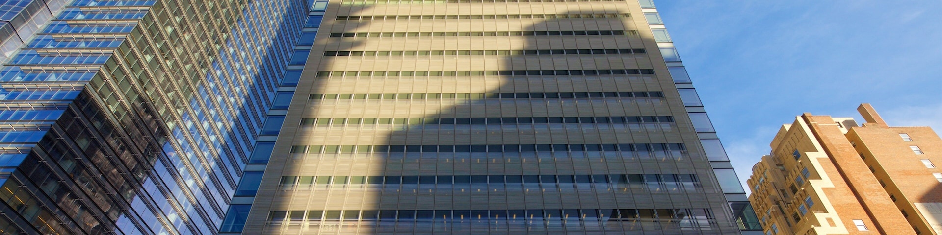 New York Times Building que incluye señalización, un rascacielos y una ciudad