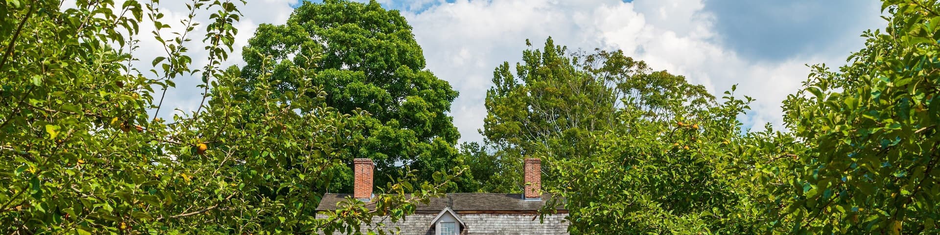 Old Manse showing a house