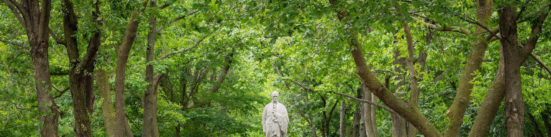 Commonwealth Avenue Mall showing a park and a statue or sculpture
