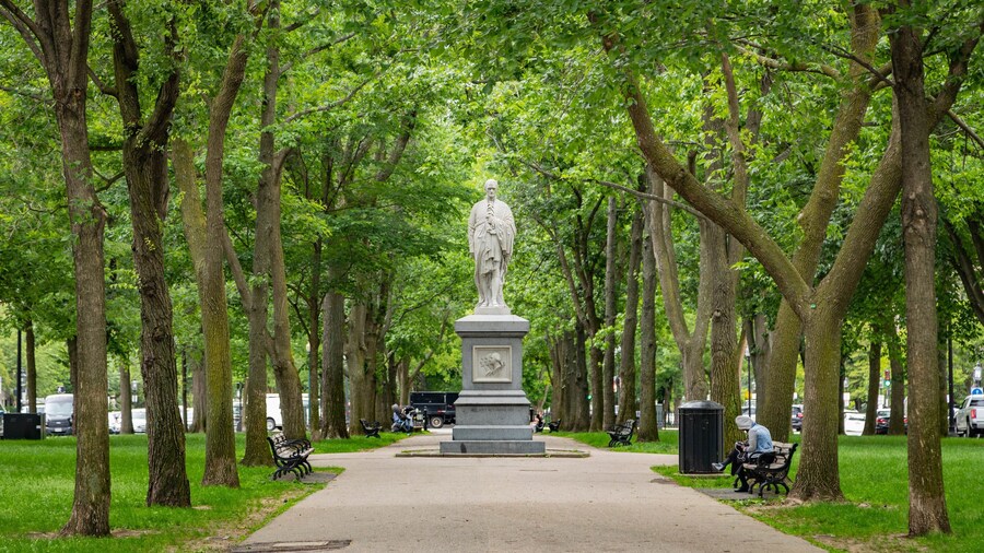 Commonwealth Avenue Mall showing a park and a statue or sculpture