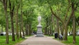A statue in a park surrounded by trees.