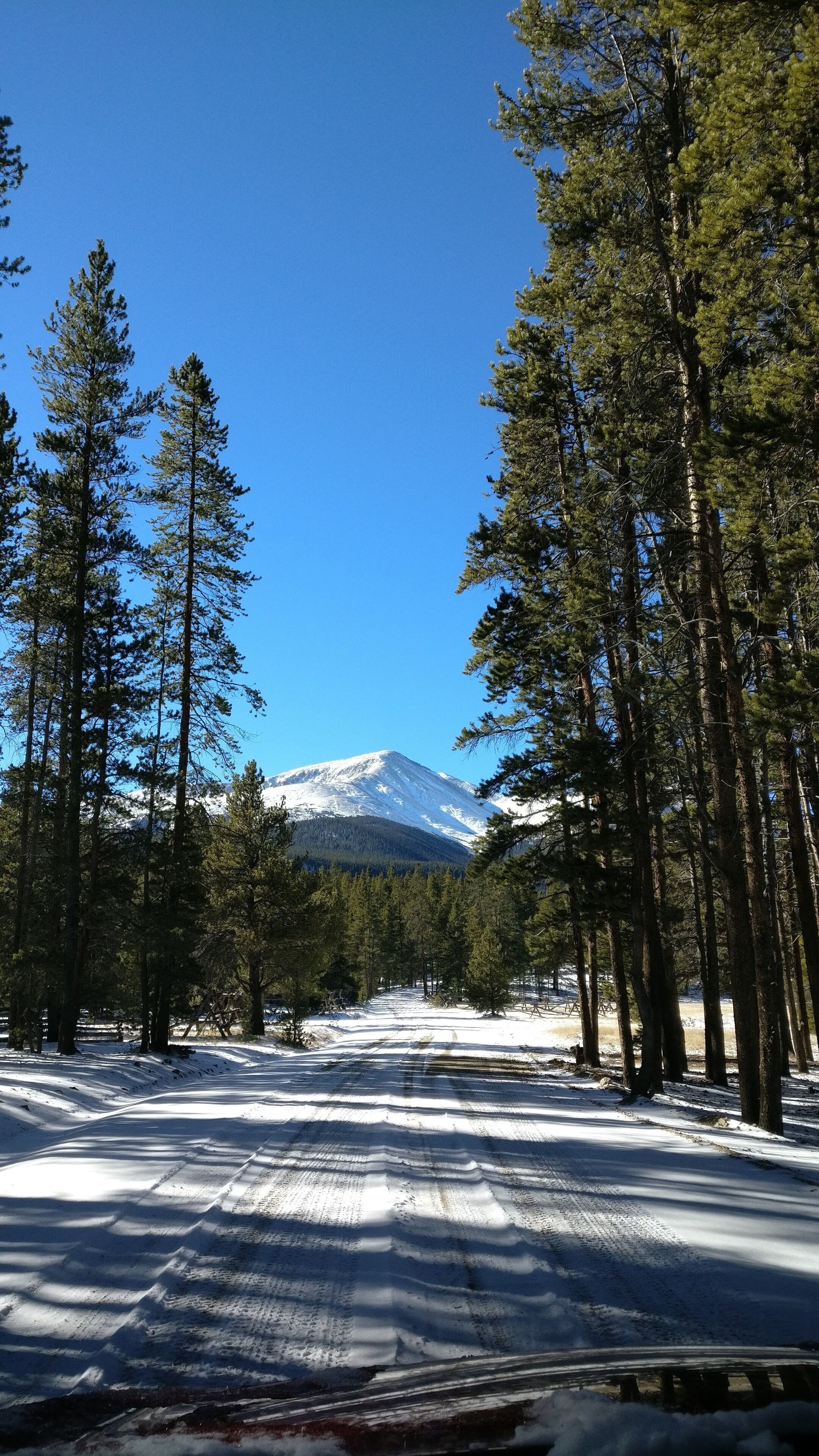 Tallest mountain in Colorado. 