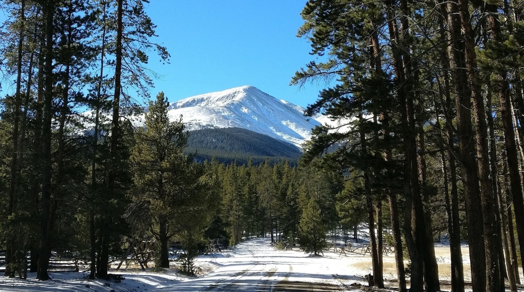 Tallest mountain in Colorado.