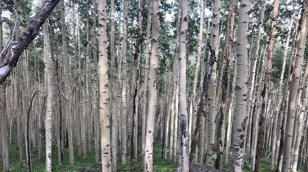 On the way up, don't forget to stop and enjoy the journey. It's still about bagging the summit, but let's be honest, pretty cool to enjoy the ride too!!