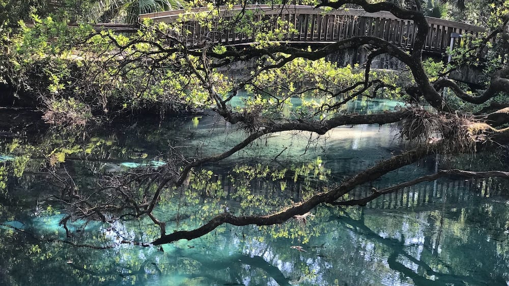 Un pont en bois enjambant un plan d’eau aux eaux claires, le tout entouré d’une végétation luxuriante.