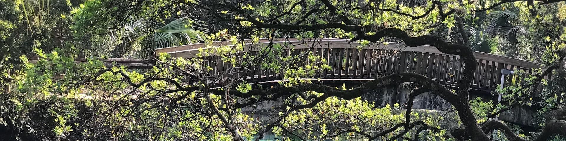 Juniper Springs Kayak Run in Florida has become one of our favorite. The run has beautiful movie like blue waters and palm trees over the water. It’s about a 7 mile run. #likealocal