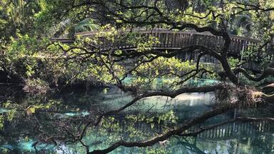 Juniper Springs Kayak Run in Florida has become one of our favorite. The run has beautiful movie like blue waters and palm trees over the water. It’s about a 7 mile run. #likealocal