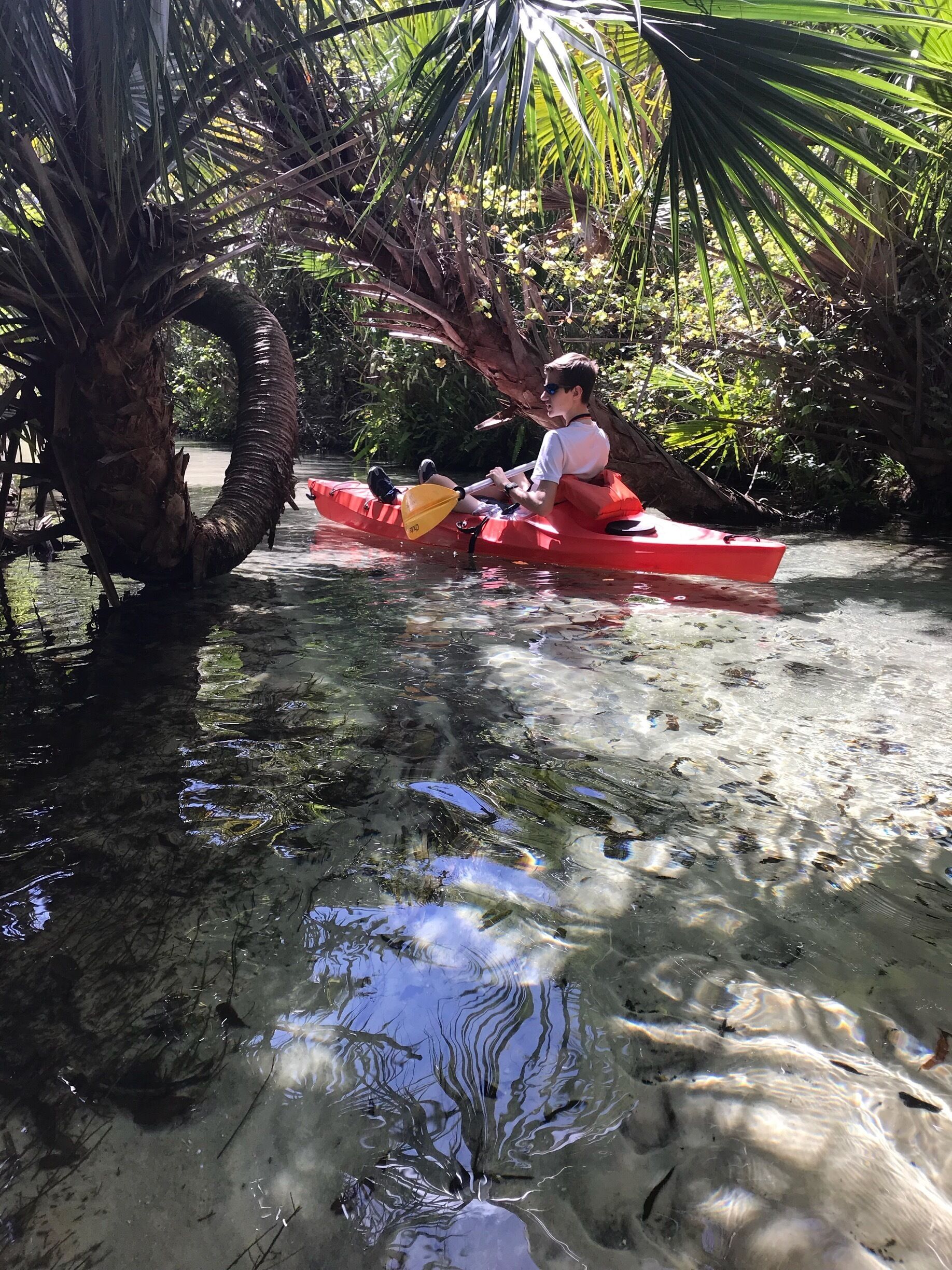 One of my favorite kayak runs is Juniper Springs!  It’s about 7.5 miles and just beautiful.