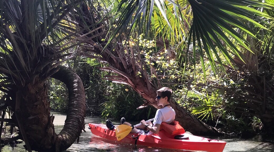 One of my favorite kayak runs is Juniper Springs! It’s about 7.5 miles and just beautiful.