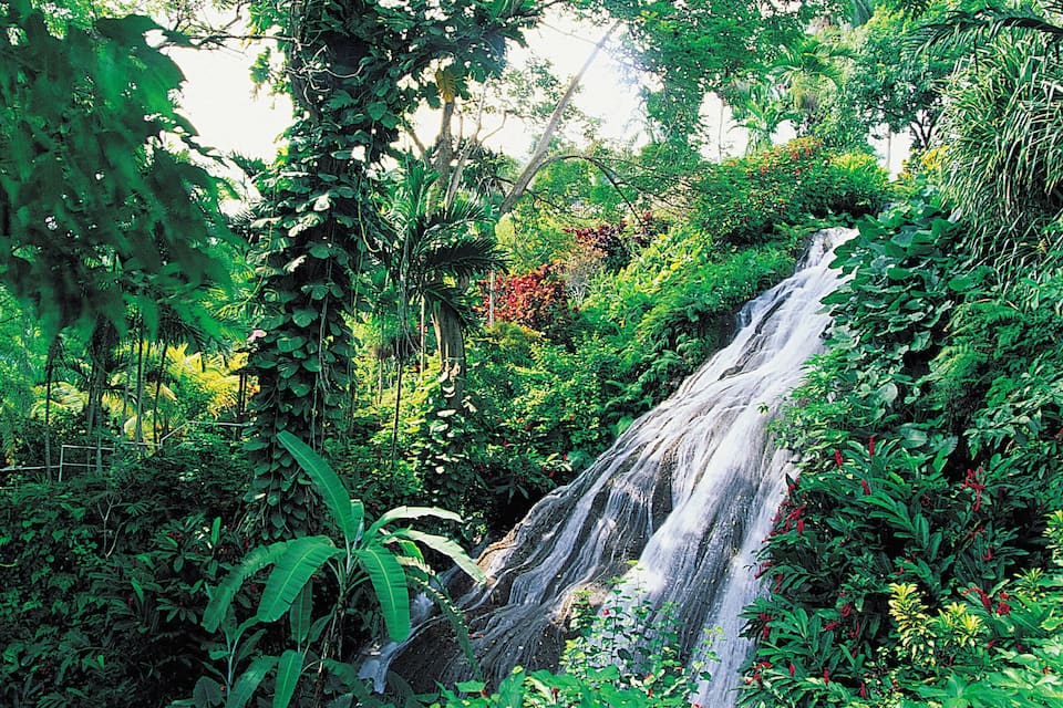 Una cascada exuberante rodeada de densa vegetación tropical.