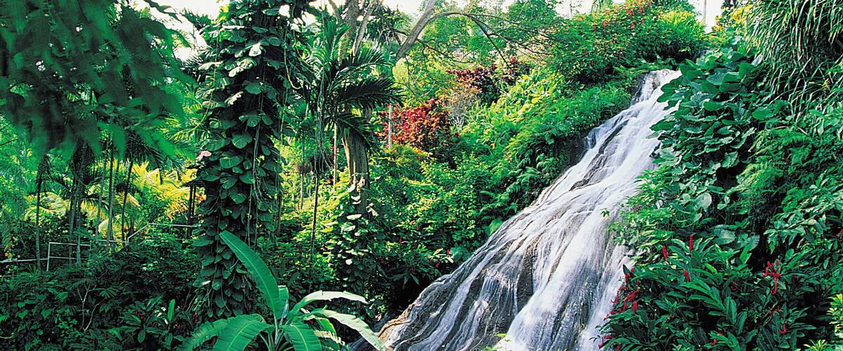 A lush waterfall surrounded by dense tropical foliage.