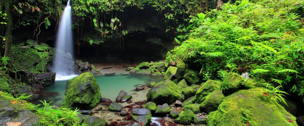 Emerald pool waterfall in Dominica.