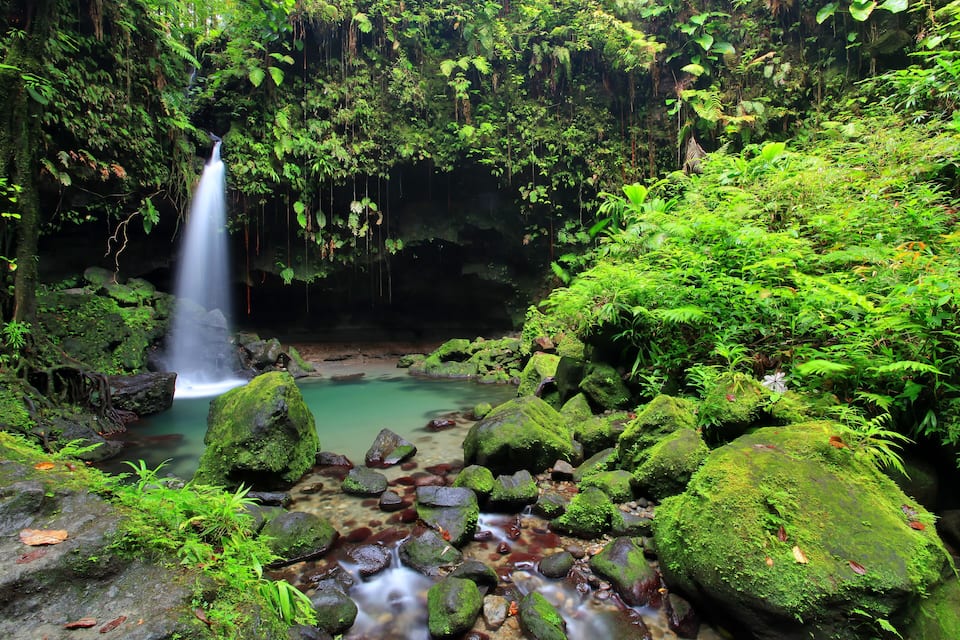 A waterfall in a lush green forest with a clear pool at its base.