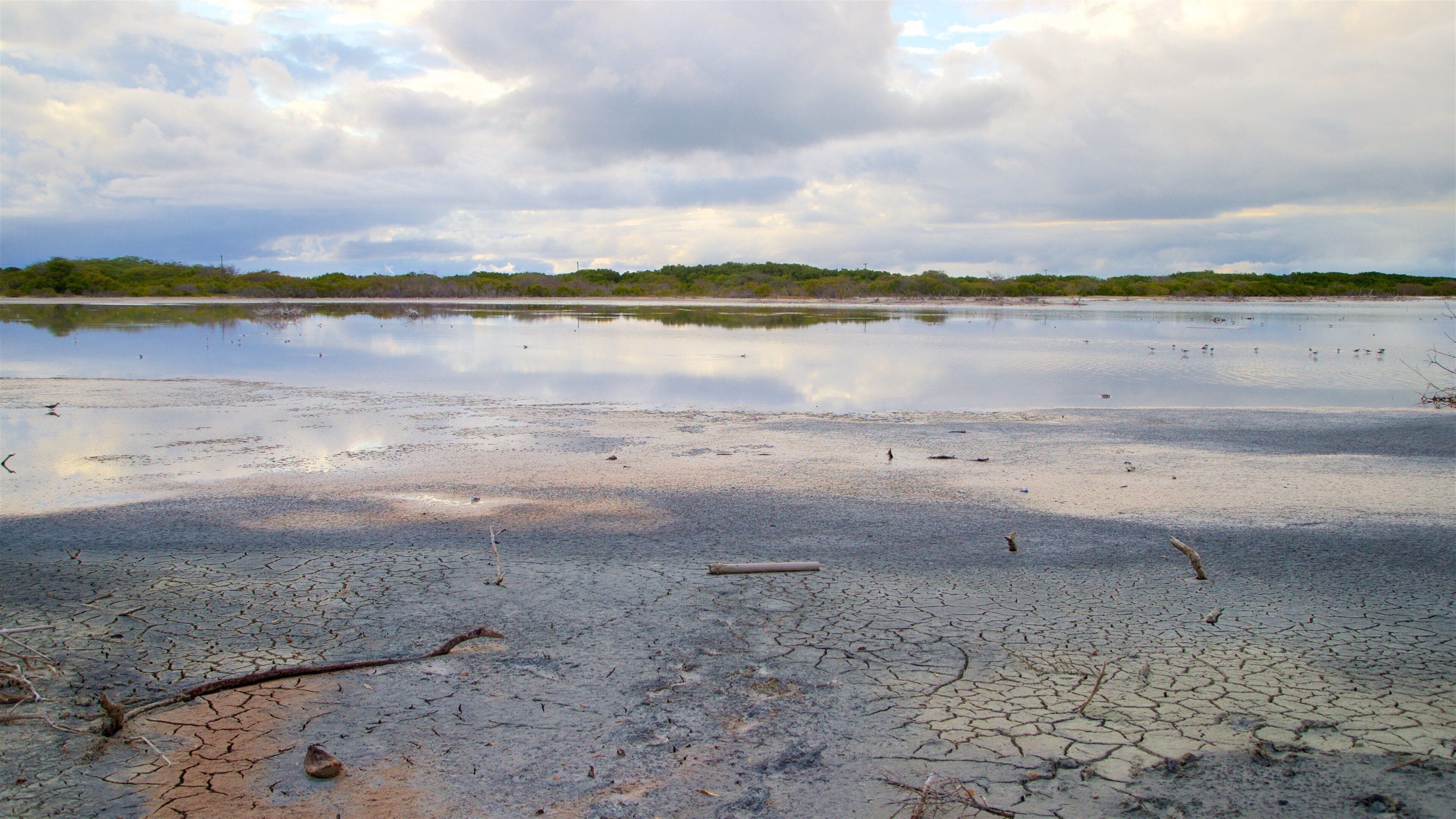 Corozo Salt Flats, Punta Jagüey & Playa Santa
