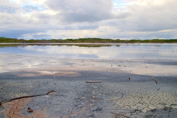 A dry, cracked landscape with a body of water reflecting the sky.