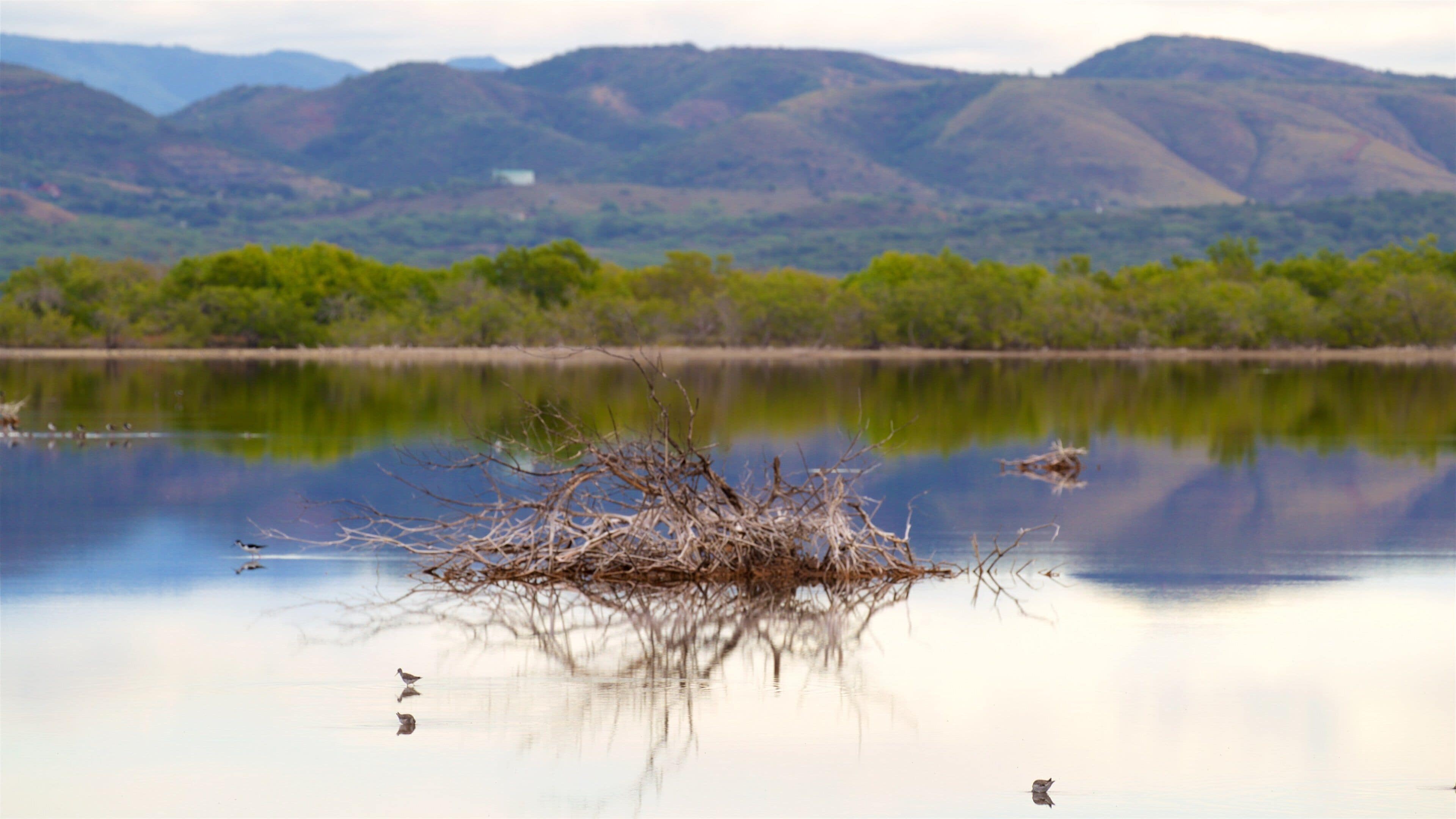 Corozo Salt Flats, Punta Jagüey & Playa Santa