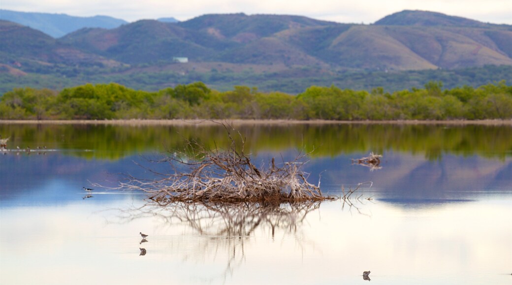 Corozo Salt Flats, Punta Jagüey & Playa Santa
