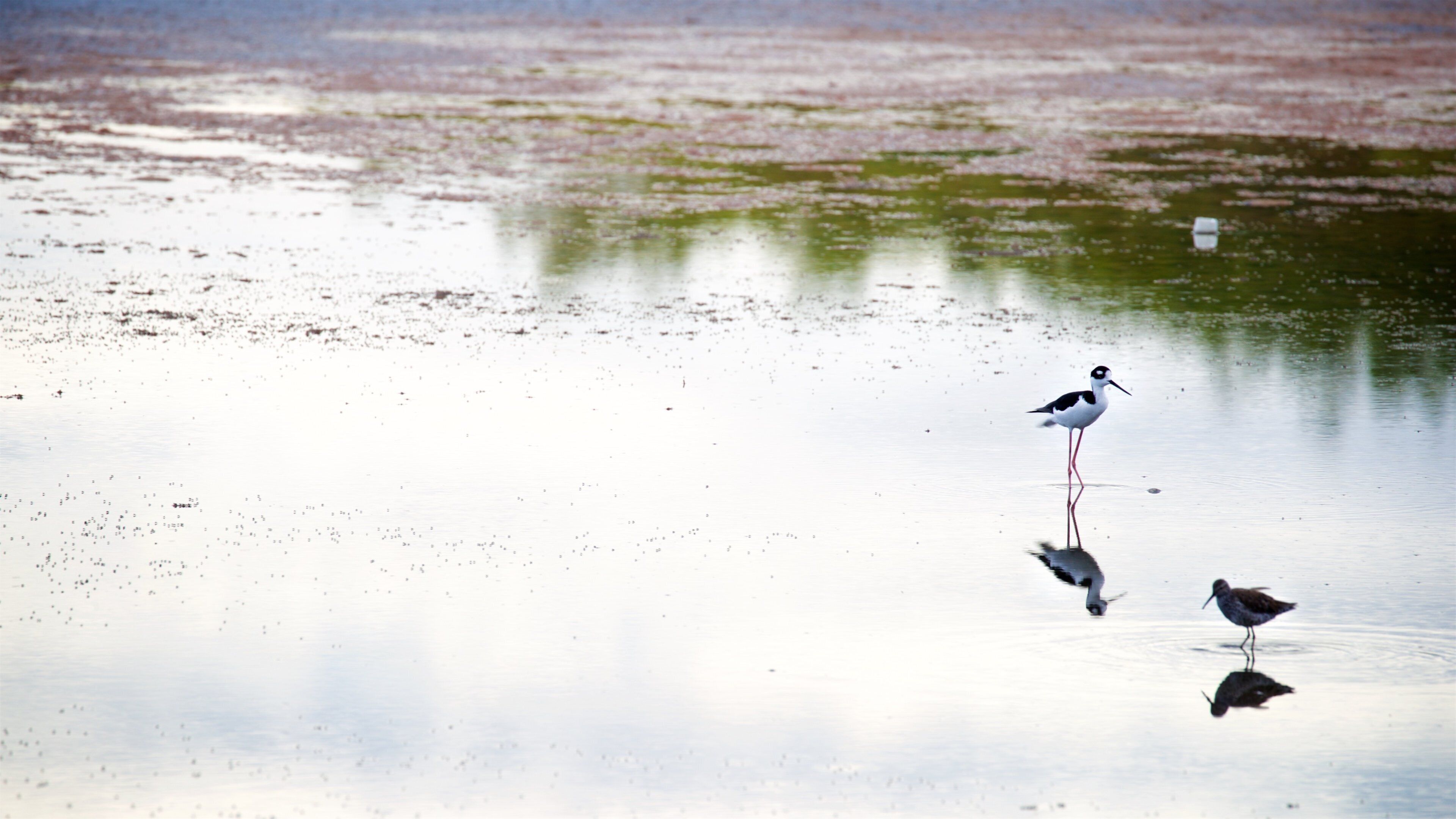 Corozo Salt Flats, Punta JagĂŒey & Playa Santa