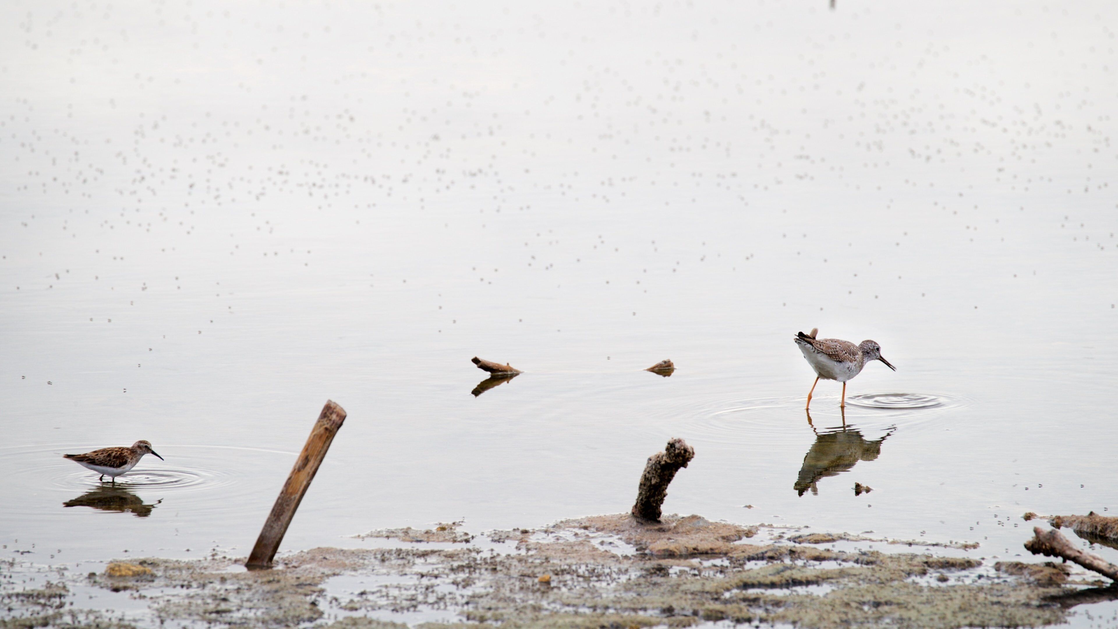 Corozo Salt Flats, Punta Jagüey & Playa Santa