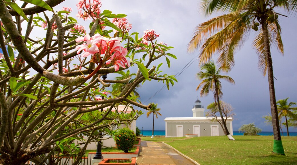 El Faro de Punta Mulas