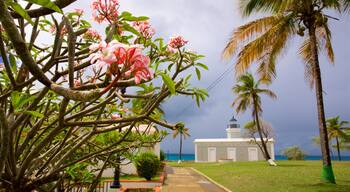 El Faro de Punta Mulas
