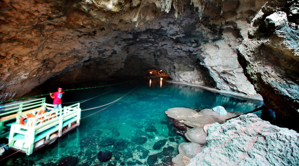 ドミニカ共和国 フィーチャー 洞窟 と 洞窟探検 及び 男性 (個人)