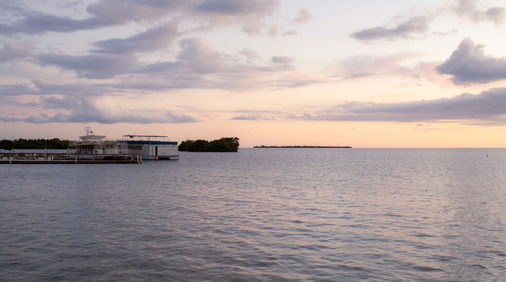 マリーナ デ サリーナス
