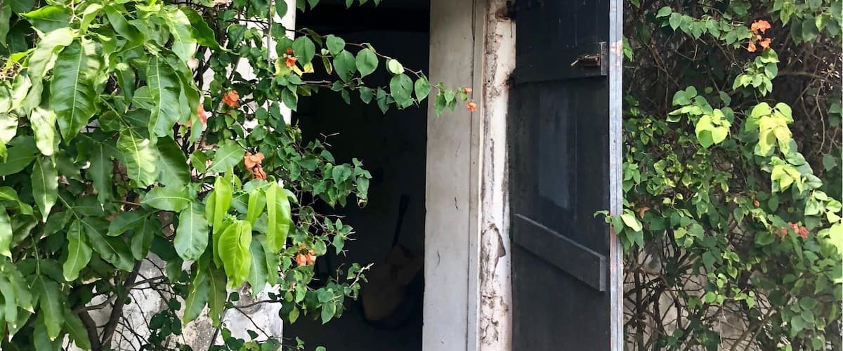 This distillery has been making rum since 1785. I have a feeling this building has been here just about that long. But the bougainvillea makes for a beautiful contrast.