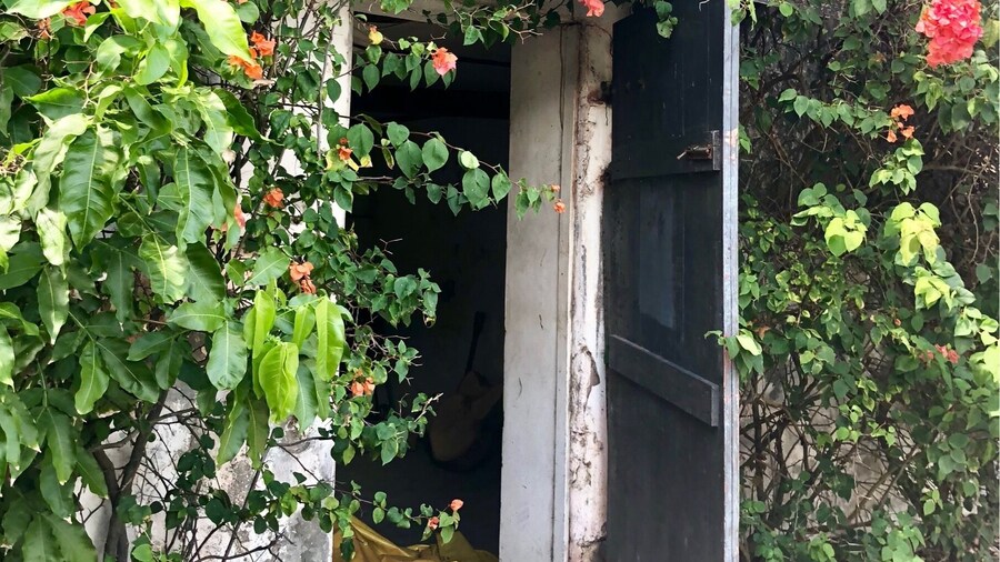 This distillery has been making rum since 1785. I have a feeling this building has been here just about that long. But the bougainvillea makes for a beautiful contrast.