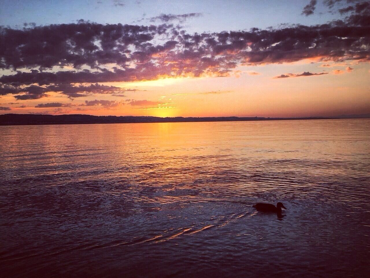 Stanning colourful morning at the Bodensee #sonnenaufgang #farbenspiel #bodensee #camping