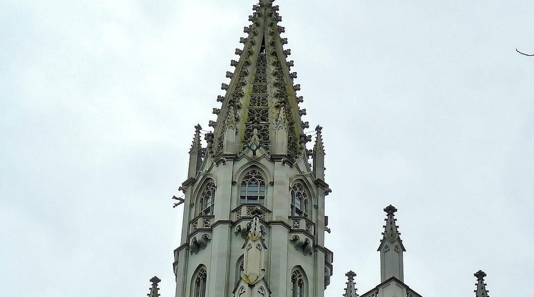 Konstanz Germany Feb 23, 2012, 7-15 AM_edit