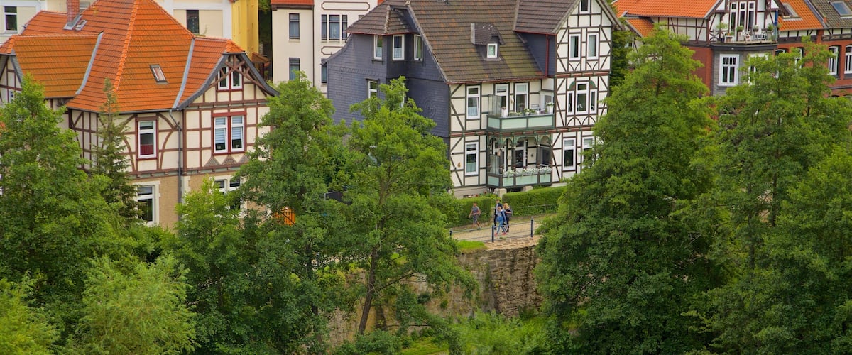 Museum im Zwinger mostrando una pequeña ciudad o pueblo y vistas de paisajes