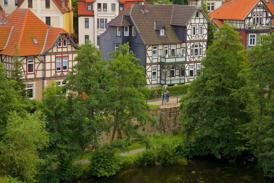 A riverside town with traditional half-timbered houses and lush greenery.