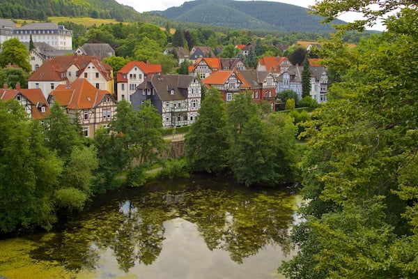 Museum im Zwinger das einen Kleinstadt oder Dorf, ruhige Szenerie und Teich