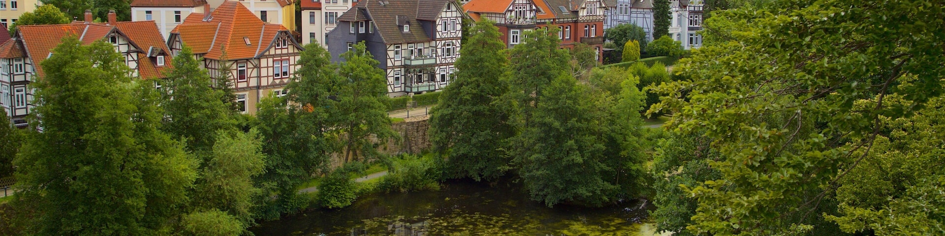 Museum im Zwinger mostrando uma cidade pequena ou vila, um lago e cenas tranquilas