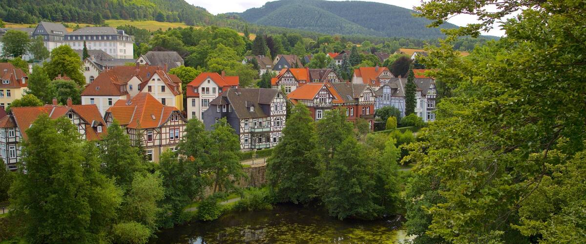 A picturesque village with traditional half-timbered houses by a river.
