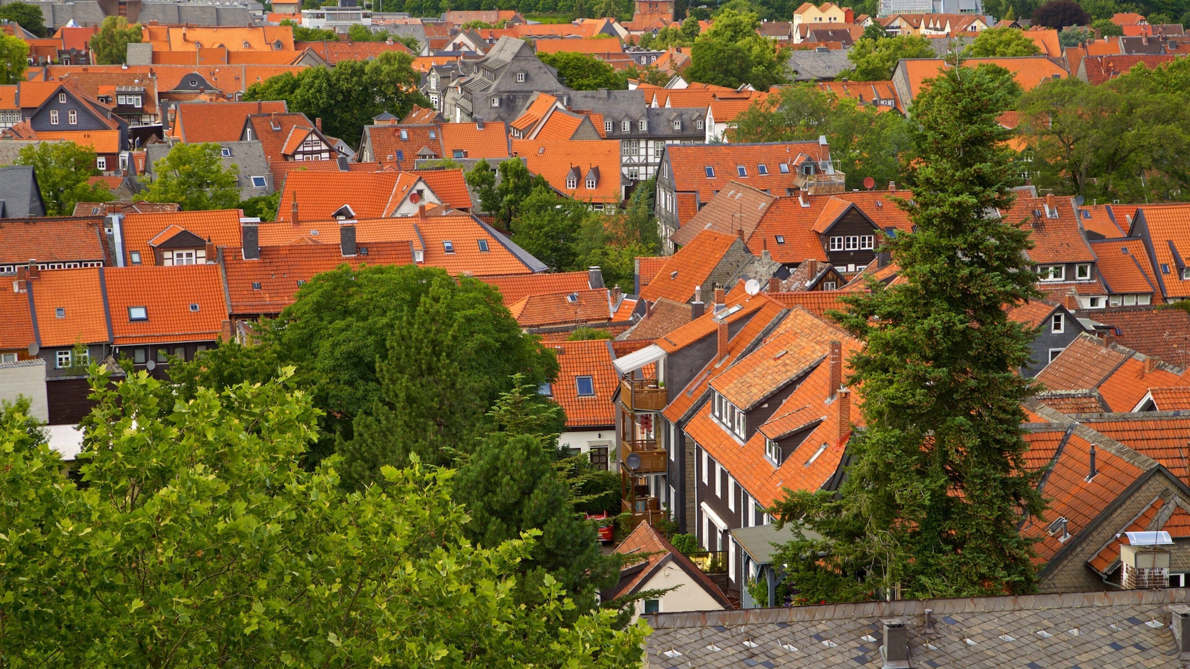 Museum im Zwinger mostrando una ciudad y vistas de paisajes