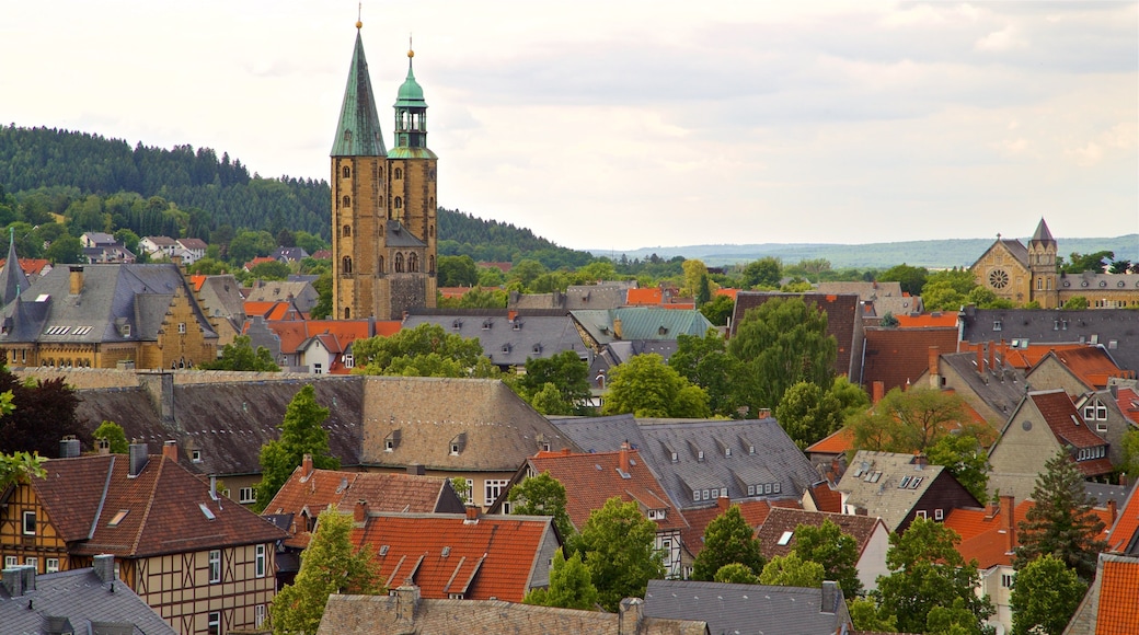 Museum im Zwinger which includes landscape views, heritage elements and a city