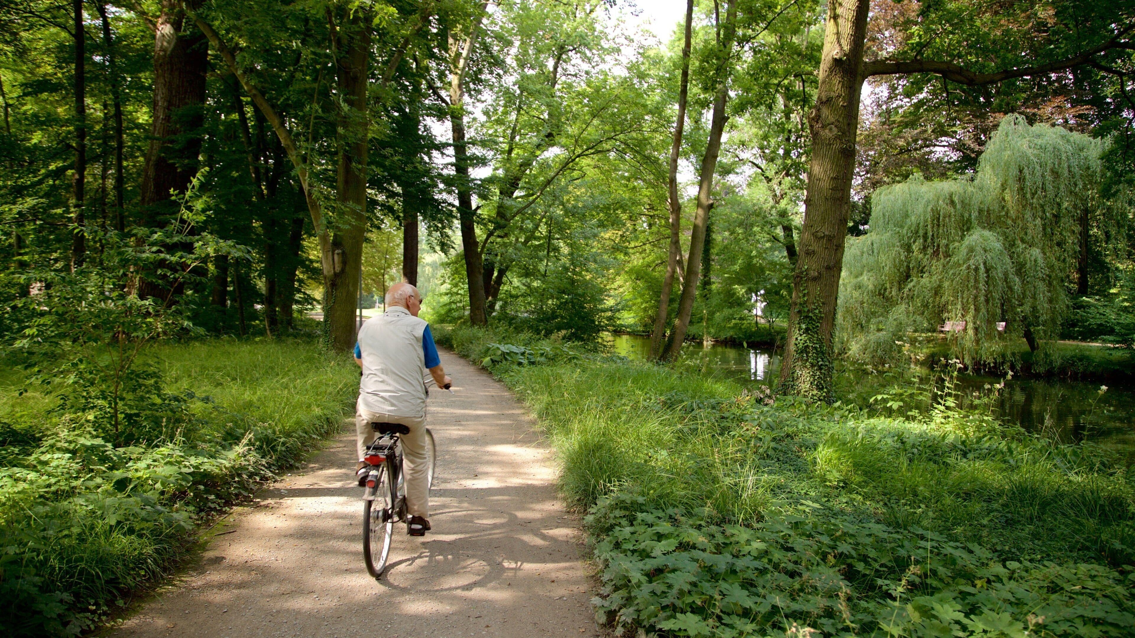 Schloss Wolfsburg mettant en vedette parc et vélo aussi bien que homme